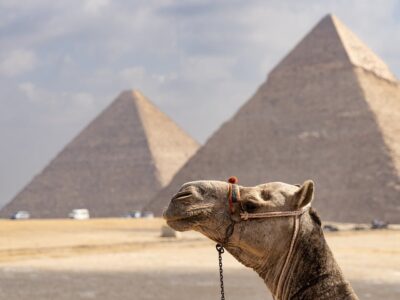 camel-7897974_1280